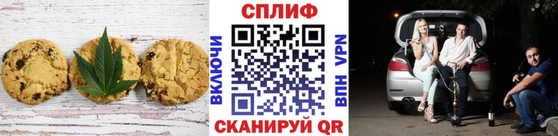 OMG ONION  Чусовой  Canna-Cookies марихуана 