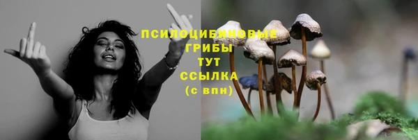 гашишное масло Мегион