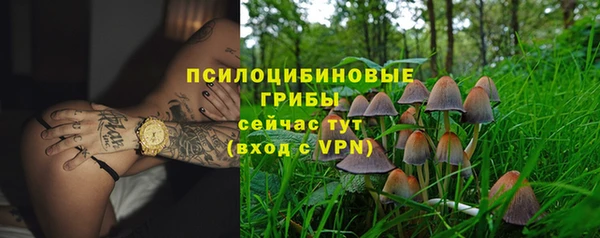 ECSTASY Медвежьегорск