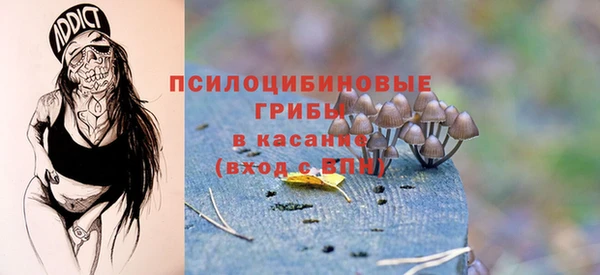 шишки Одинцово