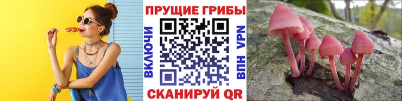 Галлюциногенные грибы MAGIC MUSHROOMS  Чусовой 