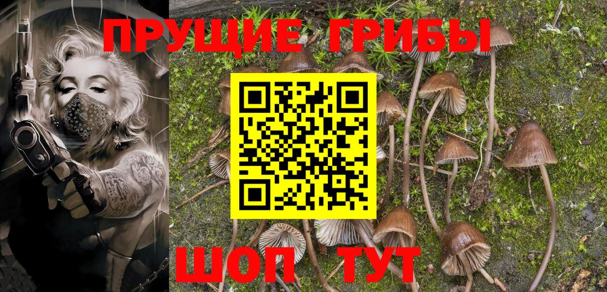 A PVP Чусовой