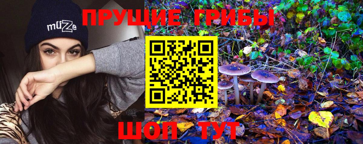 Чусовой  Галлюциногенные грибы Magic Shrooms  Вход с VPN  Галлюциногенные грибы прущие грибы 