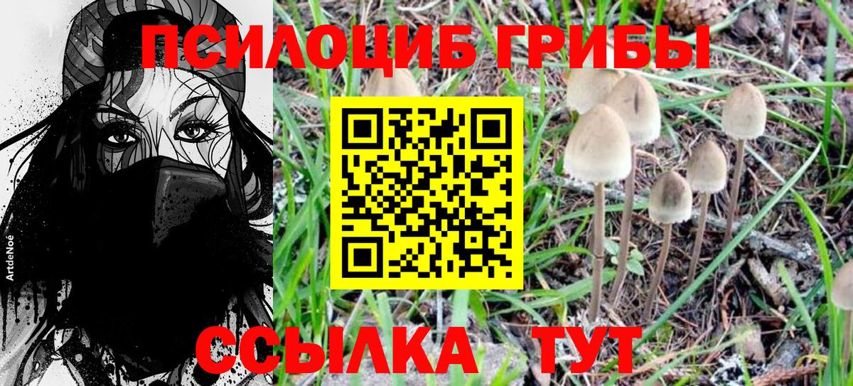 Галлюциногенные грибы Psilocybine cubensis Чусовой